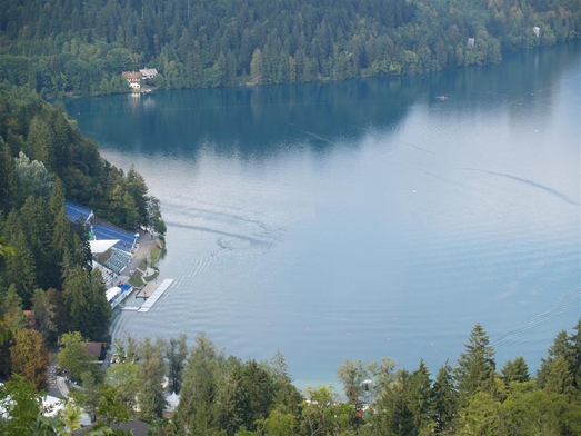 P0020086 (Mittel).JPG