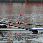 OQ5D0869.jpg