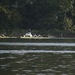 MZ-11.jpg