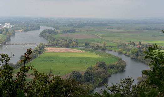 08 bogenberg _39_.JPG