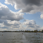 DSC_4503.JPG