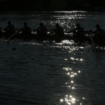 OQ5D7602.jpg