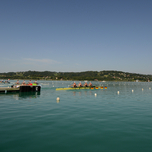 DSC_7164.JPG