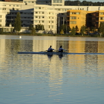 _DSC1514.JPG