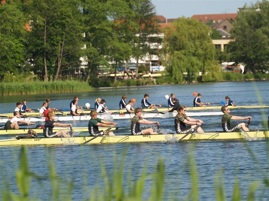 P0303497 (Large).JPG