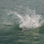 IMG_9970.JPG